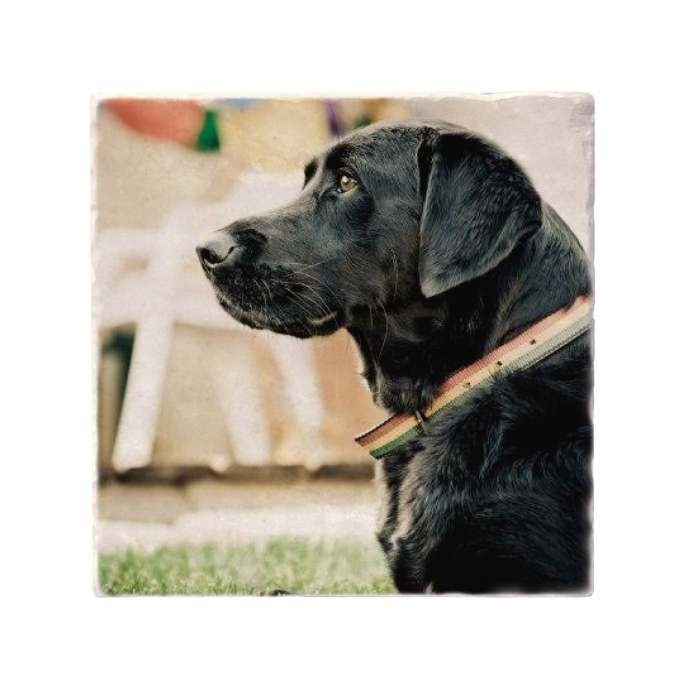 Versatile custom photo coasters