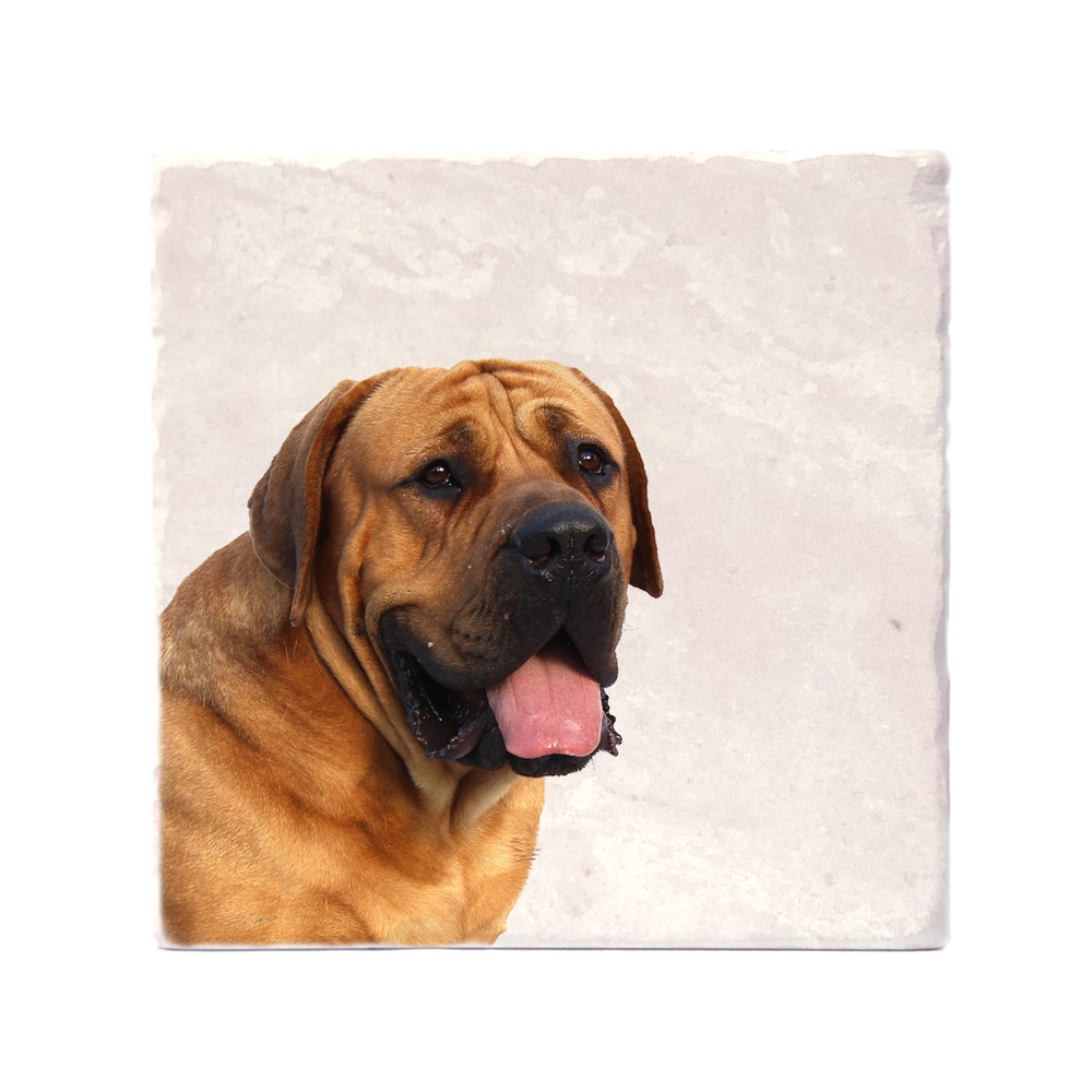 Versatile custom photo coasters