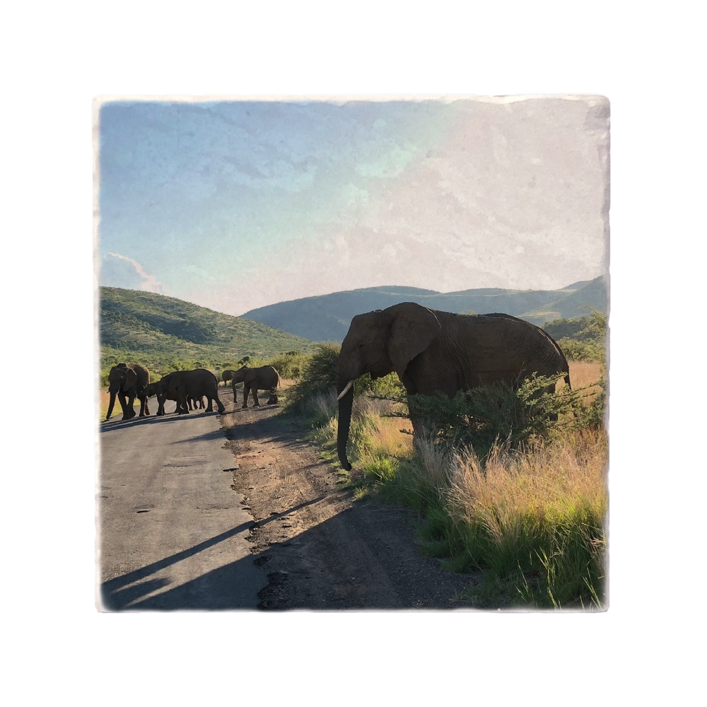 Versatile custom photo coasters